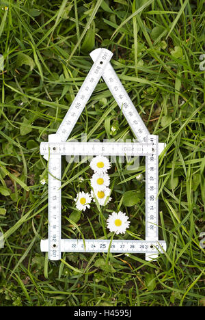 Meadow, Daisy, règle de pliage, forme, maison Banque D'Images