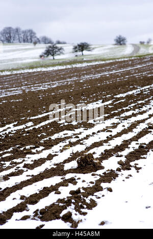 Allemagne, Bade-Wurtemberg, cauchemar de la Souabe, Sonnenbühl, champs, neige, Banque D'Images