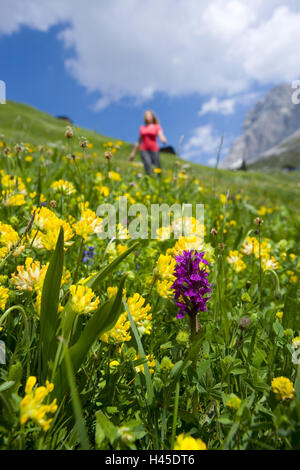 La Suisse, les Grisons, Prättigau, Klosters, St Antönien, spring meadow, femme, marche, Banque D'Images