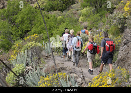 Modèle libération lire Nieves, voyager groupe, pas de l'Espagne, Îles Canaries l'île de Grande Canarie, grain, montagnes, Pico de la Cumbre, Banque D'Images