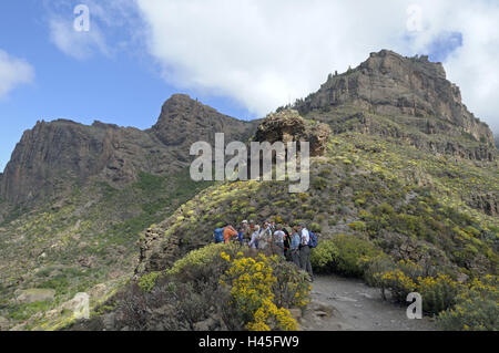 Modèle libération lire Nieves, voyager groupe, pas de l'Espagne, Îles Canaries l'île de Grande Canarie, grain, montagnes, Pico de la Cumbre, Banque D'Images