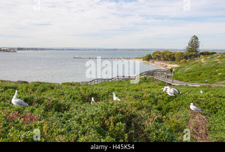 Une vue sur la promenade, dunes luxuriantes et de l'incroyable vue sur l'Océan Indien à l'Île Penguin jusqu'à l'ouest de l'Australie Banque D'Images