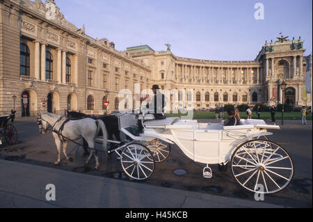 L'Autriche, Vienne, héroïques, l'espace nouveau Hofburg, CAB, capitale, ville culturelle, les bâtiments complexes, d'un bâtiment, architecture, construction de style architectural, de splendeur, de l'espace, point d'intérêt, cheval, chariot élévateur, CAB, visite de la ville, transport voyage, transport du cheval, Voyage, tourisme, tourisme, destination, personne, à l'extérieur, Banque D'Images