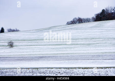 Allemagne, Bade-Wurtemberg, cauchemar de la Souabe, Sonnenbühl, champs, neige, Banque D'Images