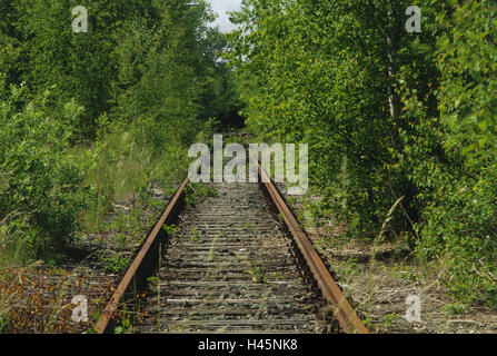 Voie de chemin de fer, les vieux, les arbres, l'article, désaffectées, pistes, passage, railroad, Jung, arbres, arbustes, incarnés par la végétation, l'été, devenir personne, Banque D'Images