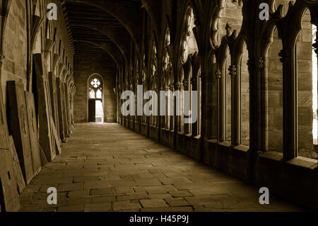 France, Alsace, château blanc, l'abbaye bénédictine, 'te. Pierre et Paul, cathédrale, cloître, gothique, Unterelsass, Wissembourg, cloître, usine de cloître, église abbatiale, abbaye, architecture, style architectural, le gothique, la structure, historiquement, la religion, la foi, l'endroit d'intérêt, monochrome, la seiche, le cloître bénédictin, tombeau des disques, à pied, mystiquement, mystérieusement, personne, Banque D'Images