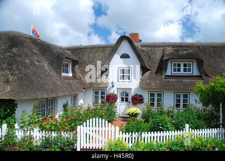 Allemagne, Schleswig-Holstein, île Amrum, Nebel, maison au toit de chaume, jardin, été, Banque D'Images