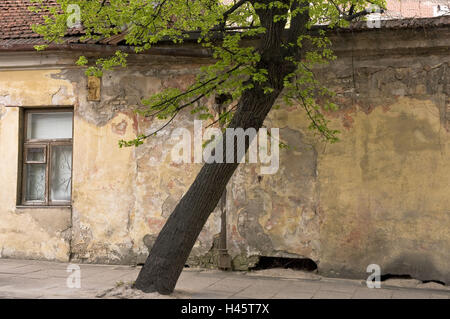 La Lituanie, Vilnius, vieille ville, Sodu Gatve, façade, vieux, tronc, détail, Banque D'Images