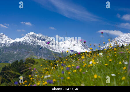 La Suisse, les Grisons, Prättigau, montagnes, vue, violin, flou, Banque D'Images