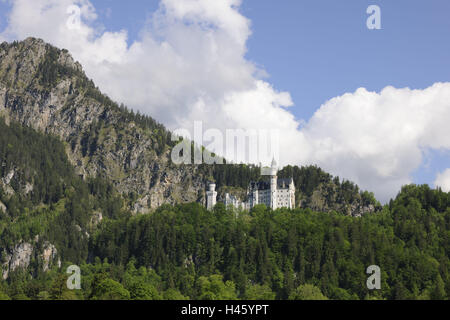 Allemagne, Bavière, Allgäu, verrou, nouveau Swan's stone, à l'extérieur, la grande région de Swan, verrouiller, l'attraction, de la culture, de l'été, la destination, l'architecture, la structure, la fameuse, la destination, le château royal, le château féerique, printemps, du tourisme, de l'endroit d'intérêt, vue, arbre Banque D'Images