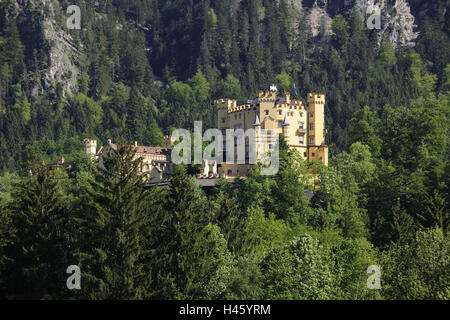 Allemagne, Bavière, Allgäu, château du haut, à l'extérieur de la région de Swan, de l'attraction, culture, destination, paysage de montagne, paysage, été, l'architecture, la structure, l'écluse, le château royal, le château féerique, destination, printemps, point d'intérêt, monument, tourisme, Banque D'Images