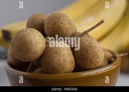 Bol, Longanfrüchte, medium close-up, Longane, fruits, foulards, des fruits, des fruits tropicaux, tropical, exotique, arbre, plantes savon Sapindaceae, Banque D'Images