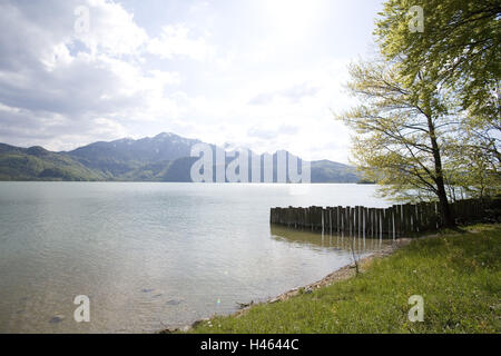 Allemagne, Bavière, Kochelsee, port, vue sur les Alpes, Banque D'Images