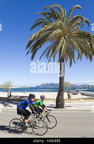 L'Espagne, les îles Baléares, Majorque, l'île de port, Pollenca, Küstenstrasse, palm, cycliste, le modèle ne libération, roues, vélos, roues de course, coureurs, dur, casques de vélo, train, formation, sport, sportily, persévérance, rue, l'autre, Banque D'Images