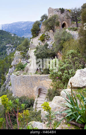 L'Espagne, les îles Baléares, Majorque, l'île Castell d'Alaró, façon, la destination, le lieu d'intérêts, escaliers, marches, excursion, attraction touristique, tourisme, château, ruine du château, ruine, panier moyen, moyen grain, de la culture, de la végétation, murs de défense, reste, déserte, Banque D'Images