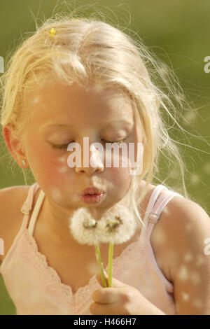 Les filles, les fleurs de puff, puff, portrait, gondolé, personnes, enfant, blond, d'un sèche-bande, haut, rose, main, tenez, connecteur de l'oreille, vue, fleurs, deux, pissenlit, fadeds, vol, semens, semens, fly, examiner, étudier, jouer, de naturel, l'été, saison, légers, d'extérieur, allergie, allergie, bureaux de vote, contrejour, soleil, Banque D'Images