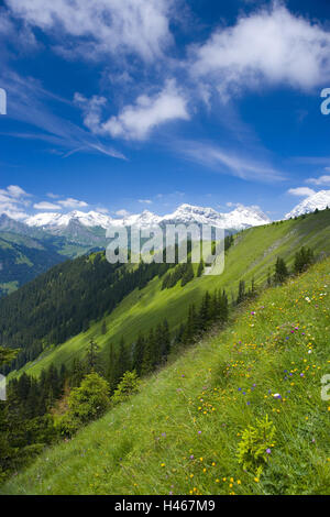 La Suisse, les Grisons, Prättigau, vue, prairie, pente, Banque D'Images