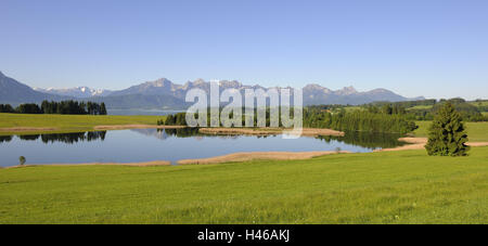 Allemagne, Bavière, Allgäu, Forggensee, Allgäu est, à l'extérieur, nature, personne, lac de montagne, lac, largeur, arbres, réflexion, Idyll, silence, prairie, saison, reste, atmosphérique, Alpes, montagne, montagnes, paysage, personne, Banque D'Images