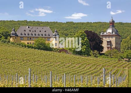 Allemagne, Bavière, Hesse, le château de la tour résidentielle, radian, vignoble, du Rhin, de Hesse, de la viticulture, vin, vignes, vin, vignoble, tour, arbres, bois, Banque D'Images