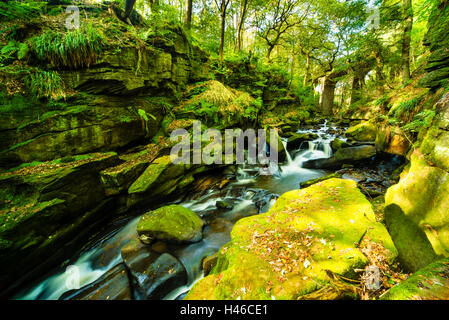 Dans Spodden rivière Healey Réserve Naturelle Dell près de Rochdale Greater Manchester England UK Banque D'Images