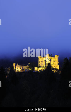 Allemagne, Bavière Allgäu, haut, la région de Swan, crépuscule, l'éclairage, l'attraction, de la structure, les arbres, le soir, de la construction, de l'extérieur, Sehenswüdigkeit, tourisme, château, verrouiller, historiquement, l'architecture, la destination, la culture, romantiquement, brouillard, gris, décor, Banque D'Images