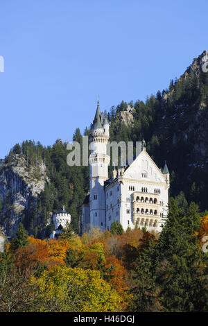 Allemagne, Bavière, Allgäu, château nouveau swan, Pierre Banque D'Images