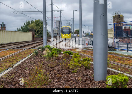 Un arrêt de tramway Metrolink à Manchester se déplaçant le long de la voie de tramway tout droit vers vous. Banque D'Images