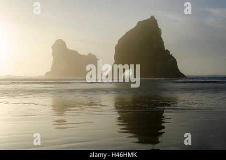 Îles d'Archway, Wharariki Beach, Golden Bay, district de Tasmanie, île du Sud, Nouvelle-Zélande Banque D'Images