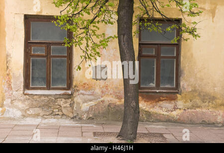 La Lituanie, Vilnius, vieille ville, Sodu Gatve, façade, vieux, tronc, détail, Banque D'Images