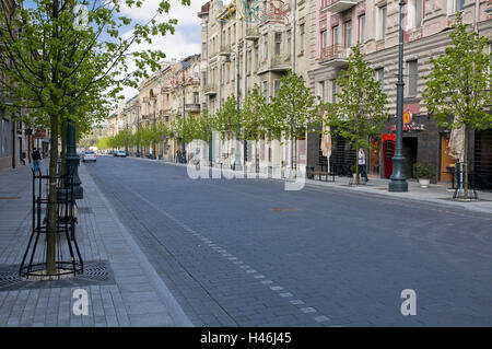 La Lituanie, Vilnius, de la vieille ville, rue Gedimino, terrasses, arbres, Banque D'Images