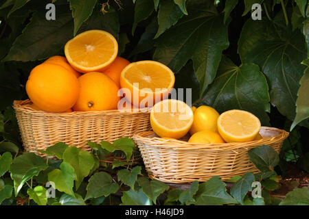 Oranges, citrons, panier, Banque D'Images