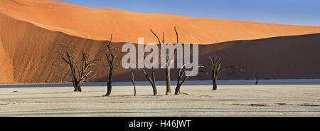 L'Afrique, la Namibie, Sossusvlei, Désert du Namib, Deadvlei, camel thorn, arbres morts, dunes, désert, Banque D'Images