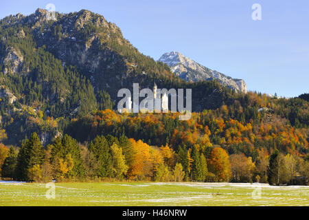 Allemagne, Bavière, Allgäu, château nouveau swan, Pierre Banque D'Images