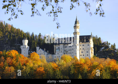 Allemagne, Bavière, Allgäu, château nouveau swan, Pierre Banque D'Images