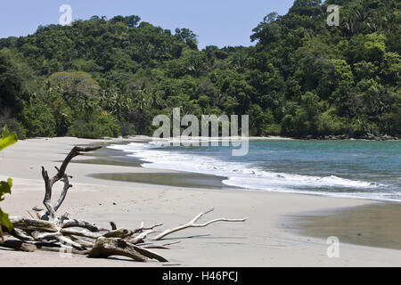 Mer, la plage, Puntarenas, Costa Rica, parc national Manuel Antonio, Banque D'Images