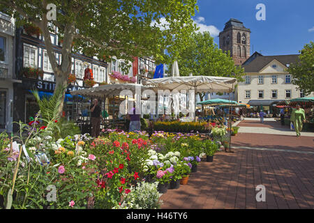 Allemagne, Hesse, le nord de l'Hessen, Bad Hersfeld, Vieille Ville, Marché, Banque D'Images