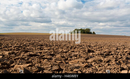 Champ labouré sur un jour nuageux Banque D'Images