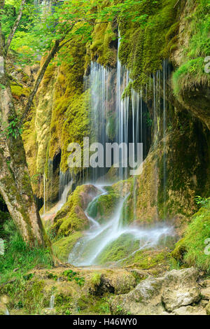 Le Schleier tombe sur l'Ammer, cascade moussue, Alpes, Bavière, Allemagne Banque D'Images