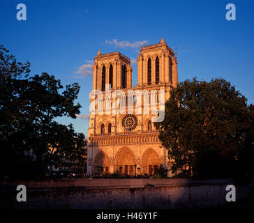 La Cathédrale Notre Dame, Paris, France Banque D'Images