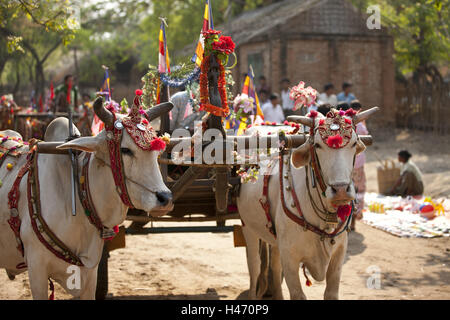 Le Myanmar, la région de Bagan, novice célébration, prince, les princesses, les enfants viennent à la cloître, Banque D'Images