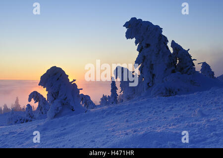 Allemagne (Saxe-Anhalt), Parc National de Harz, lever du soleil sur le Brocken, hiver, Banque D'Images