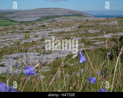 Le Parc National de Burren, Irlande Banque D'Images