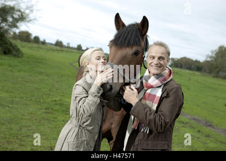 Femme, Homme, cheval, course, personnes, couple, tombe amoureux, heureux, pâturage, Repos, loisirs, vacances, courroie, pré, ensemble, autumnally, deux, Banque D'Images