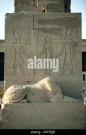 L'Egypte, de Qena, Dendérah, des secours et de la statue de lion dans le temple d'Hathor, Banque D'Images