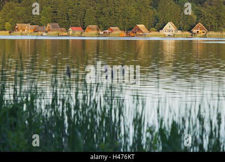 L'Allemagne, le Mecklembourg plaine plaine remplie de lacs, reed, rive, maisons, Banque D'Images