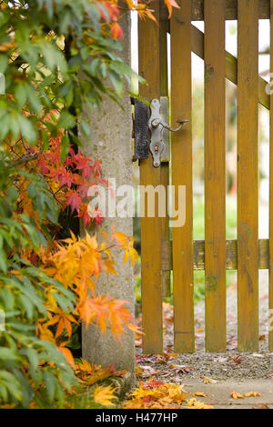 Feuillage de l'automne à la porte du jardin, Banque D'Images