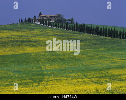 Italie, Toscane, Sienne, San Gimignano, décor avec les biens immobiliers, Banque D'Images