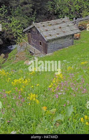 Flower meadow avec moulin à eau dans le torrent de la masse, Banque D'Images