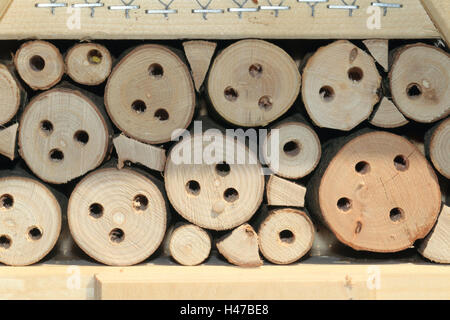 Maison des insectes, medium close-up, format Paysage, insecte, insectes, insect House Hôtel, hôtel des insectes, des animaux, de l'animal sauvage, fosse de la couvée, l'Allemagne, des trous, Banque D'Images