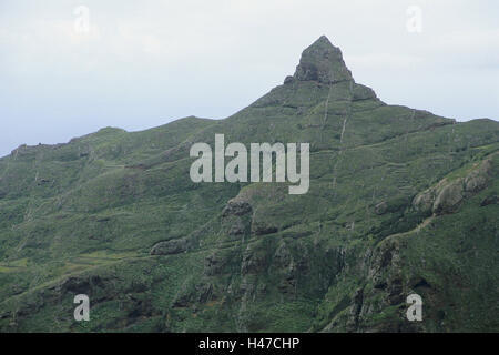 L'Espagne, les Canaries, l'île de Ténérife, montagnes d'Anaga, Roque de Taborno, brouillard, sommet, monument, montagnes, zone de déplacement, défi, météo, vert, paysage, montagne, de façon remarquable, point, Banque D'Images